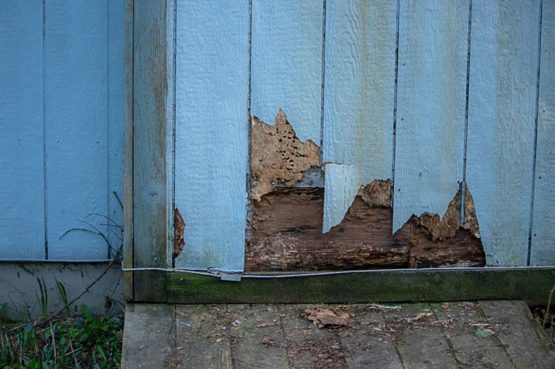 Wind-Damaged Siding
