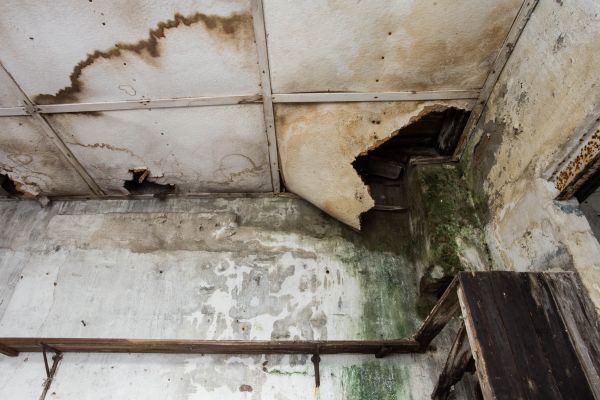Cost of Water Damage Service in Hollywood