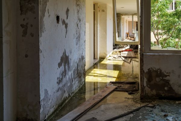 Cost of Water Removal Service in Hollywood