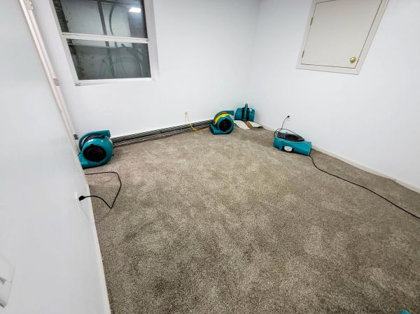 Flood Restoration Service in Hollywood
