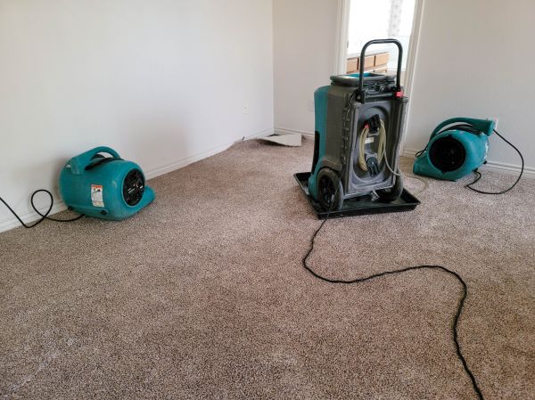 Cost of Water Damage Repair in Hollywood